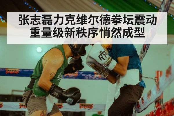张志磊力克维尔德拳坛震动 重量级新秩序悄然成型