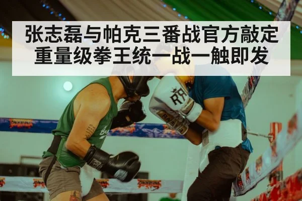 boxing training workout